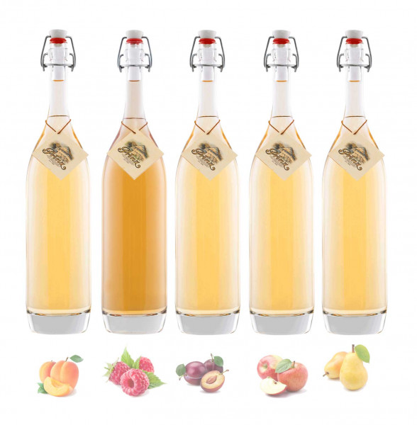 5 bottles tasting-package of Prinz old varieties 0.5l (apricot, wild raspberry, Williams-pear, house